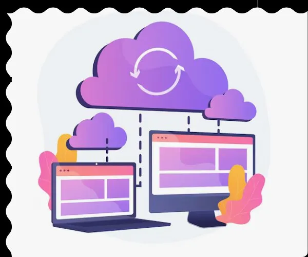 custom software service in Karnal