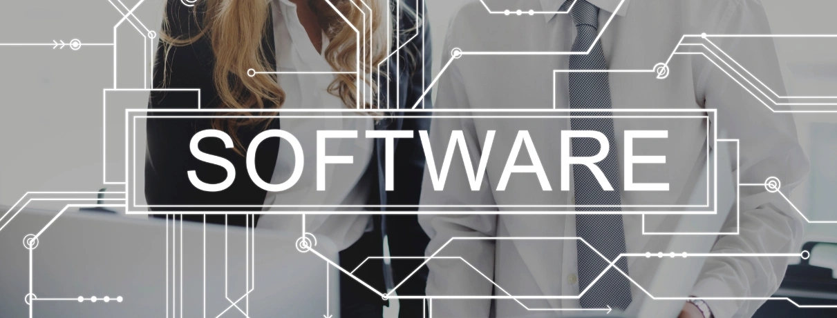 custom software service in karnal