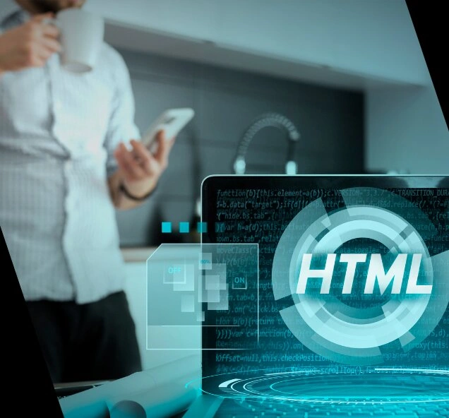 Professional Web Development Services